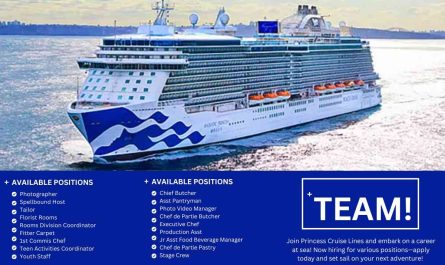 Shape Guest Experiences with Princess Cruises – Apply Now